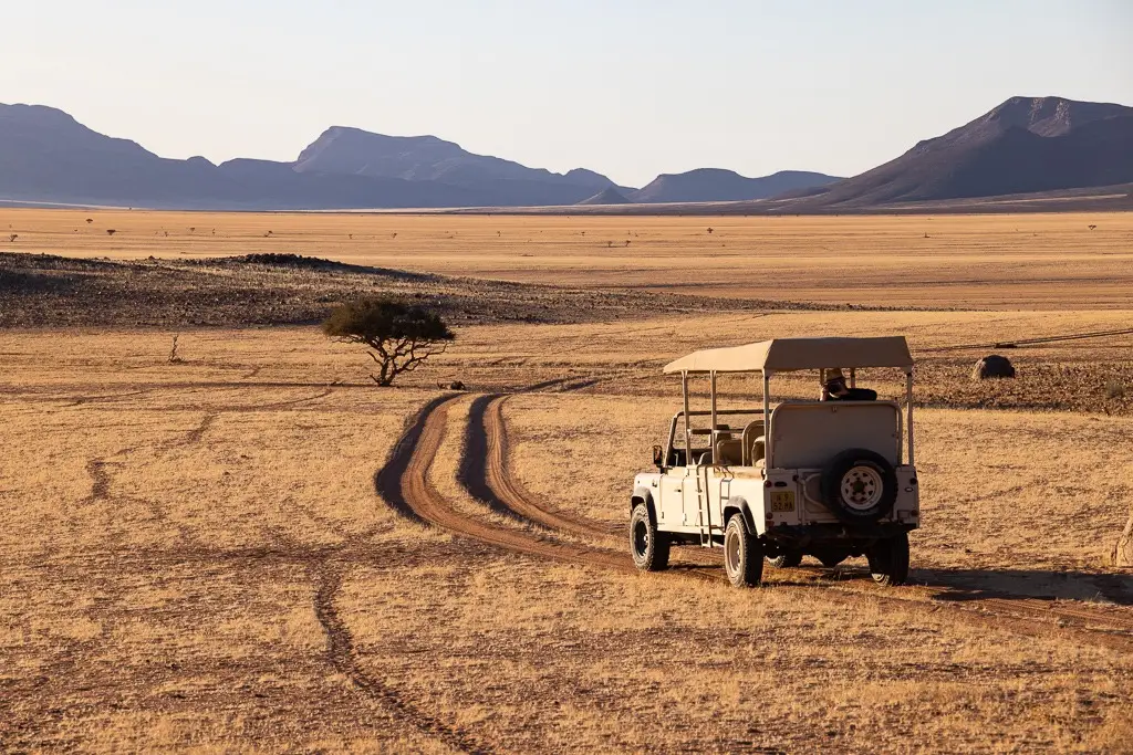 Pirschfahrt im Namib Rand