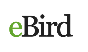 Ebird logo