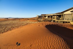 Wolwedans Dunes Lodge Dune Drives In The Namib Rand
