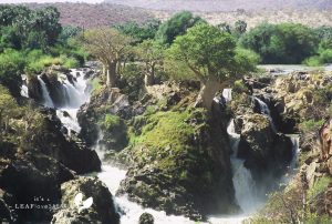 Die Epupa Wasserfälle
