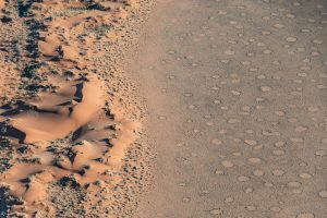 Feenkreise In Der Namib