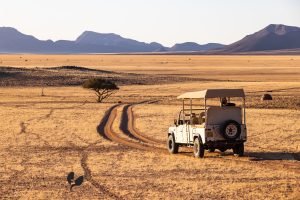 Wolwedans Dunes Lodge Dune Drives In The Namib Rand