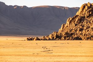 Wolwedans Dunes Lodge Dünenfahrten In Den Namib Rand