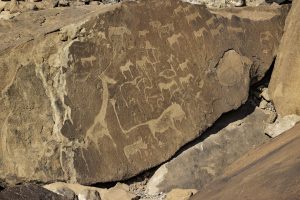Twyfelfontein Rock Engravings / Felsgravuren
