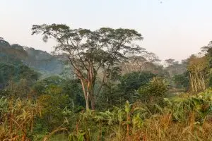 Landschaft Am Rio Ceve / Rio Cuvo Queve